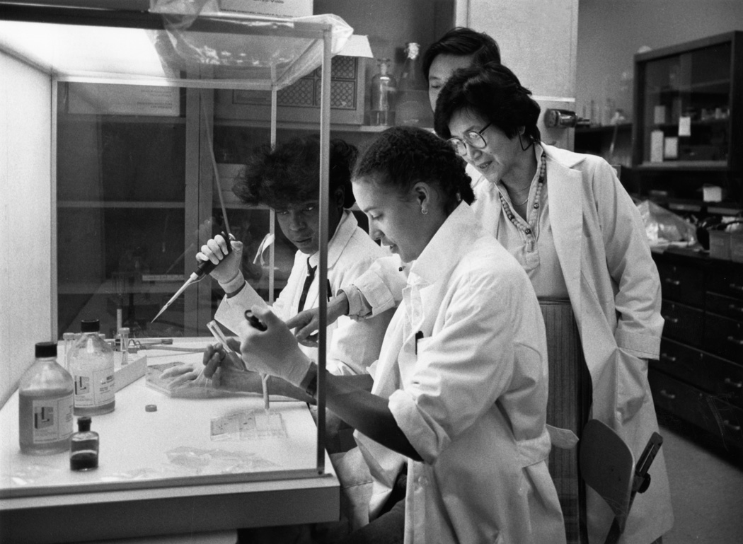 Biology professor Dr. Lois Chi directs students as they prepare samples for class, 1979